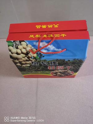 厦门品牌、《凤梨穗》桂圆干、24#